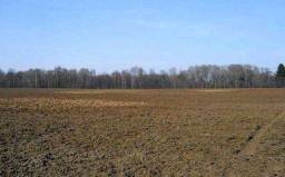 6 гектаров пашни возле селения Абрамовское