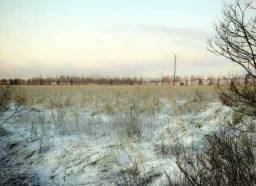 Почти 10 гектар сельхозугодий в 40 км от Санкт-Петербурга