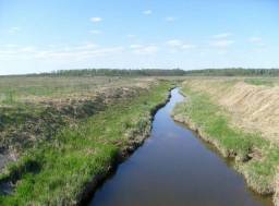 75 гектаров сельскохозяйственных угодий возле Родоманово–Пречистое