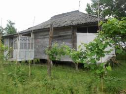 Срочно, недорого: дом с участком 43 сотки в Грузии, селе Цаиши