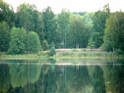 Продам участок 15 соток близ красивого озера в деревне Азарово