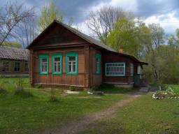 Жилые дома под материнский капитал в Починковском районе