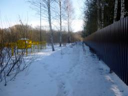 деревня Головино — фото участка 3