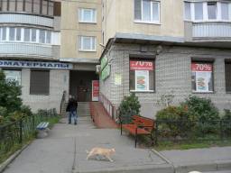 улица Савушкина, 121Санкт-Петербург — фото объекта 3