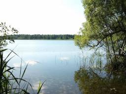 Продам участок 32 сотки на первой линии озера Большое Покровское (6 метров)