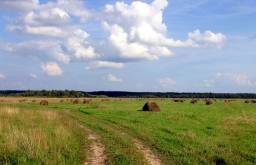 135 гектаров в Тверской области, от МКАД 160 км