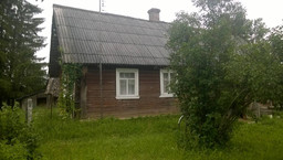 В Володькино Палкинского района дом с баней недалеко от озера