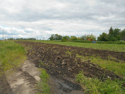 Продажа земельного участка в деревне Андреевское