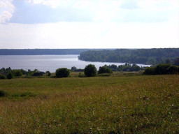 Участок на озере Волго