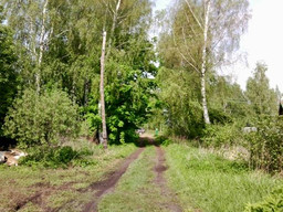 Недорого продаются дачные 6 соток земли в красивом и экологически чистом месте Тверской области