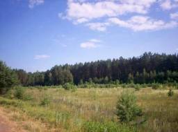 село Бунырево — фото участка 2