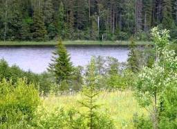 Участок земли у озера в деревне Девятовщина