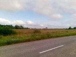 20 гектаров сельскохозяйственных земель под Новгородом