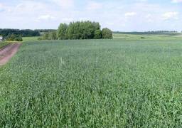 100 фермерских гектаров на юге Нижегородской области