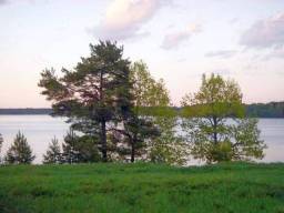50 ИЖС-соток на берегу озера Гнильское