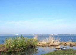99,9 гектаров земли на берегу озера Неро