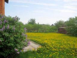 деревня Речки — фото дома 4