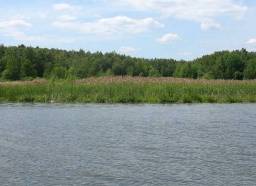 Тамбовский районТамбовская область — фото участка 5