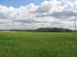 Тамбовский районТамбовская область — фото участка 4