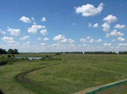 Тамбовский районТамбовская область — фото участка 2