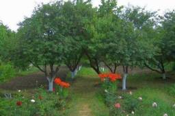 Гюмри — фото дома 7