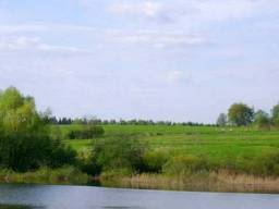 деревня Становище — фото участка 5